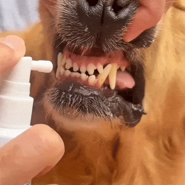 379224e37ed6b93ea20f4e85f3fe0d6463596c17.f30-ezgif.com-optimize.gif__PID:e4c25287-cffa-4cbb-9e55-31bdf8afedf9