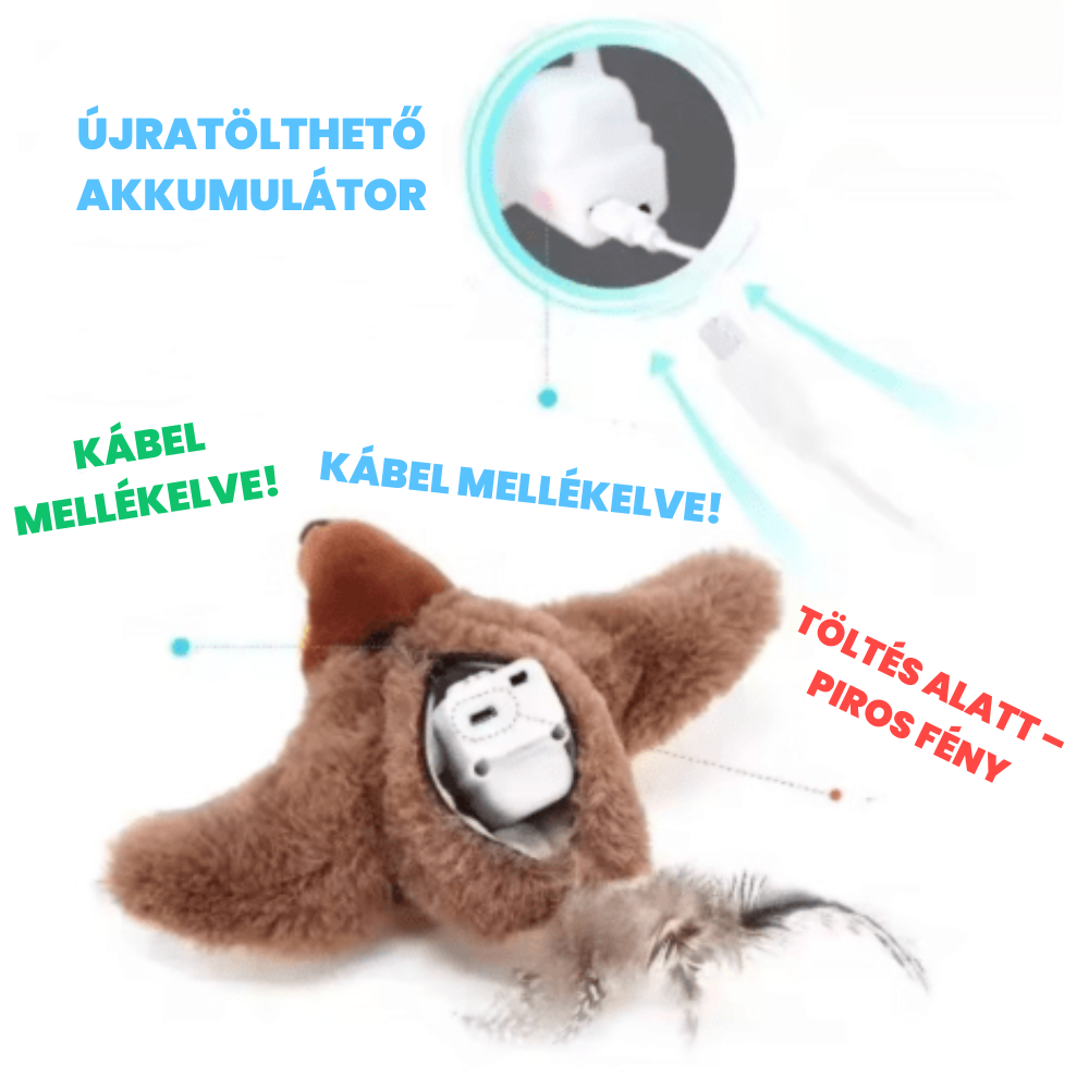 Cipi madár – interaktív macskajáték