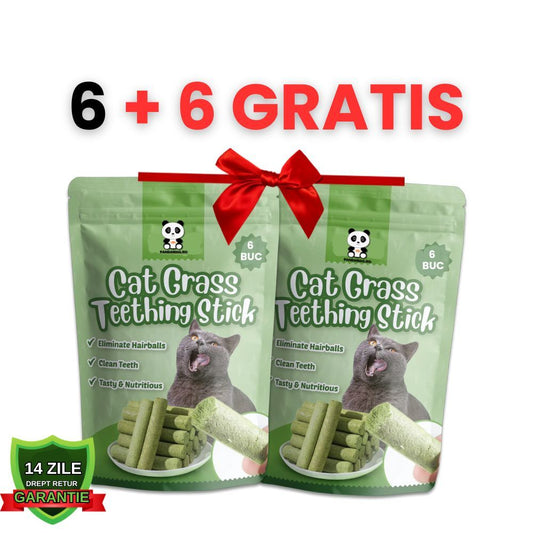 Betisoare Dentare Nutritive cu Iarba Pisicii si Pui