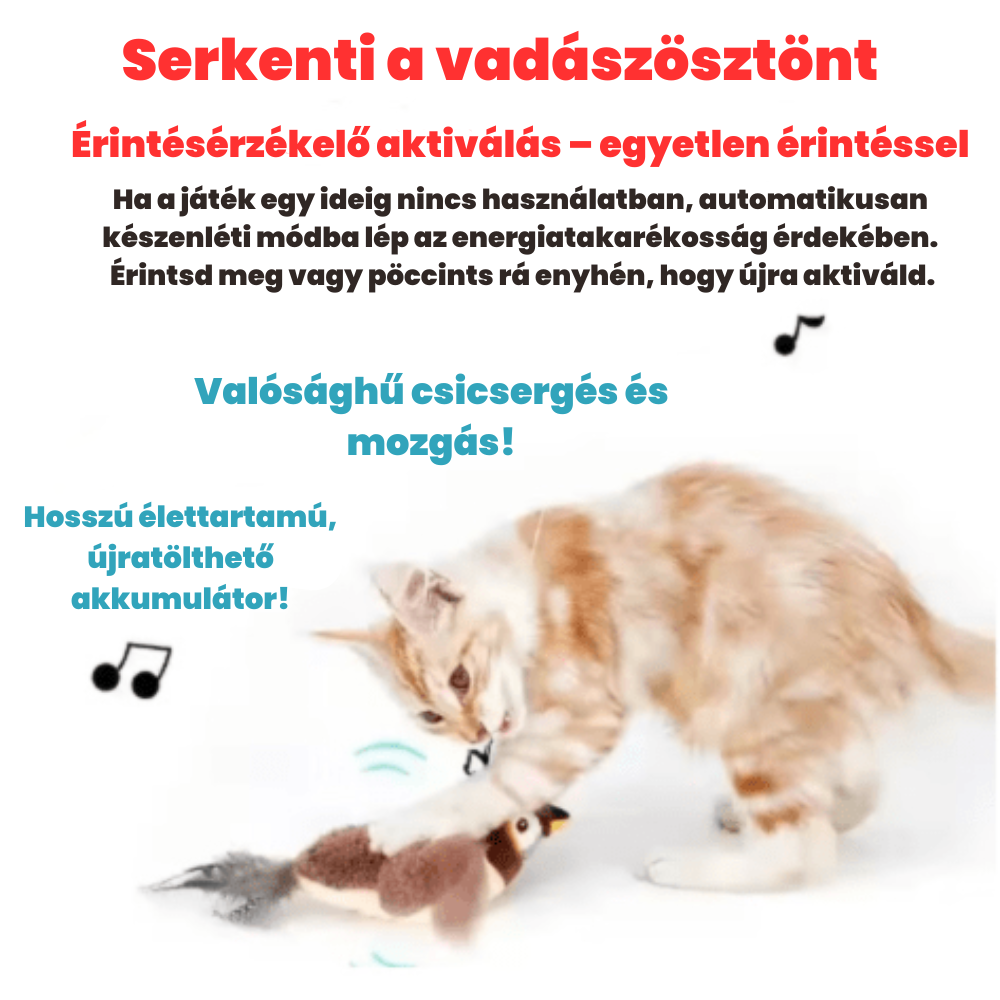 Cipi madár – interaktív macskajáték