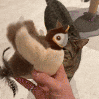 RIOGIF1RAW-ezgif.com-optimize.gif__PID:9b8d4d38-e0d5-4399-adad-acd73a0e74c4