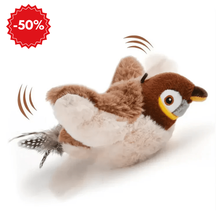 Jucarie interactiva Pasare Rio pentru pisici - Main Store