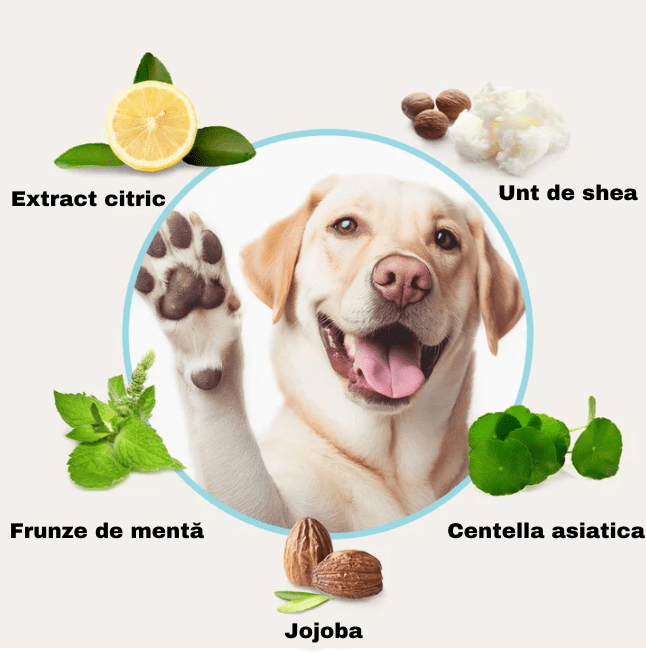 Spuma ingrijire si hidratare pentru labuțe - Main Store